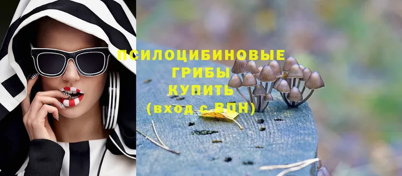 Галлюциногенные грибы Psilocybe  цены наркотик  Руза 